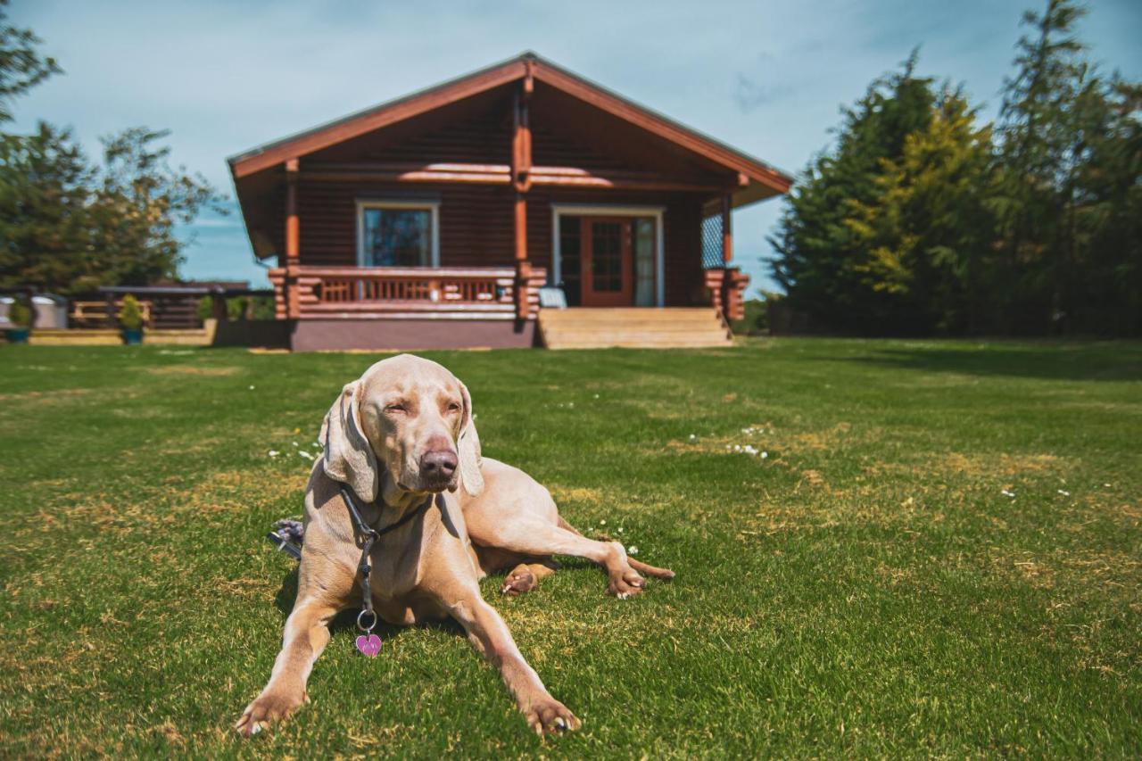 Tomatin - Luxury Two Bedroom Log Cabin With Hot Tub Berwick Upon Tweed Exterior foto